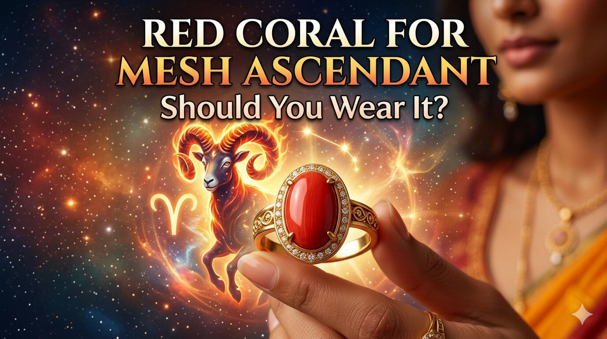 Red Coral for Mesh Ascendant: Should You Wear It?