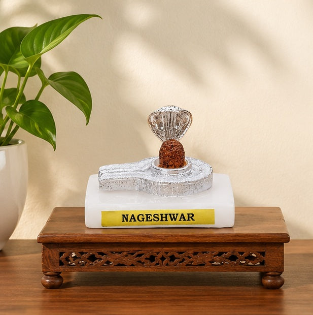 Nageshwar Shivling Decorative Puja Idol with Silver Finish Base
