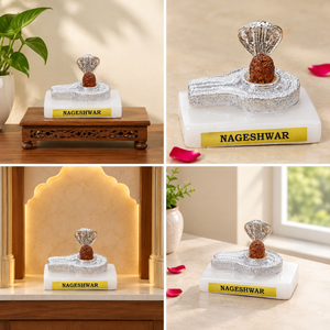 Nageshwar Shivling Decorative Puja Idol with Silver Finish Base