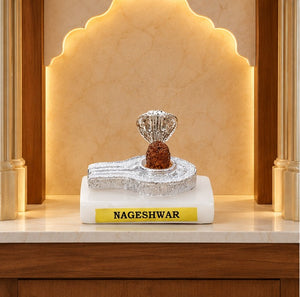 Nageshwar Shivling Decorative Puja Idol with Silver Finish Base