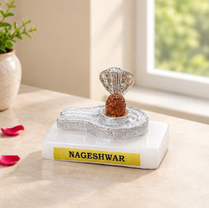 Nageshwar Shivling Decorative Puja Idol with Silver Finish Base