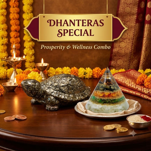Dhanteras Prosperity Combo | Pyrite Turtle & Dhanyog Cone Pyramid