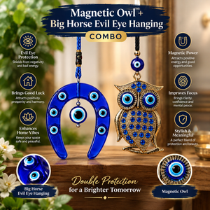 Nazar Suraksha Duo | Magnetic Owl & Big Horse Evil Eye Hanging