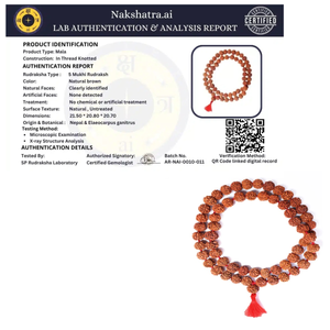5 Mukhi Rudraksha Mala & Bracelet Combo