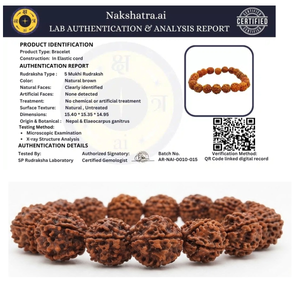 5 Mukhi Rudraksha Mala & Bracelet Combo