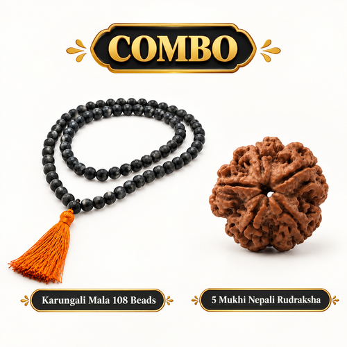Karungali Rudra Blessing | 108 Beads Karungali Mala & 5 Mukhi Nepali Rudraksha