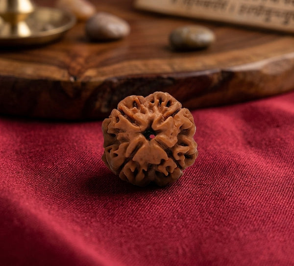 4 Mukhi Nepali Rudraksha