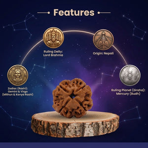 4 Mukhi Nepali Rudraksha Spiritual Bead