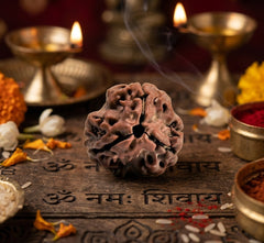 3 Mukhi Nepali Rudraksha Bead for Spiritual Practice, Focus & Inner Strength