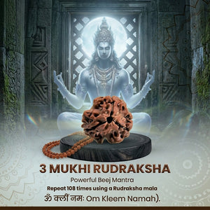3 Mukhi Nepali Rudraksha Bead for Spiritual Practice, Focus & Inner Strength
