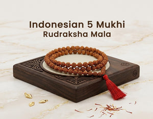 5 Mukhi Indonesian Rudraksha Mala 108 Beads for Prayer and Meditation