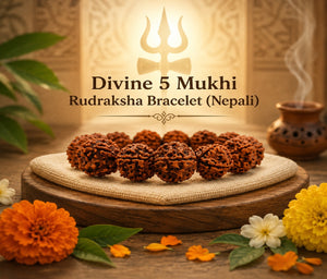 5 Mukhi Nepali Rudraksha Bracelet