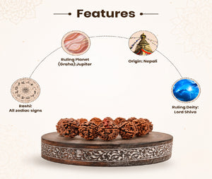 5 Mukhi Nepali Rudraksha Bracelet