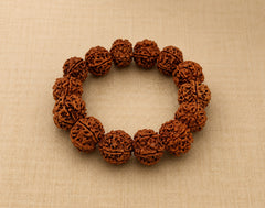 6 Mukhi Nepali Rudraksha Bracelet