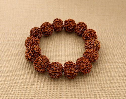 6 Mukhi Nepali Rudraksha Bracelet
