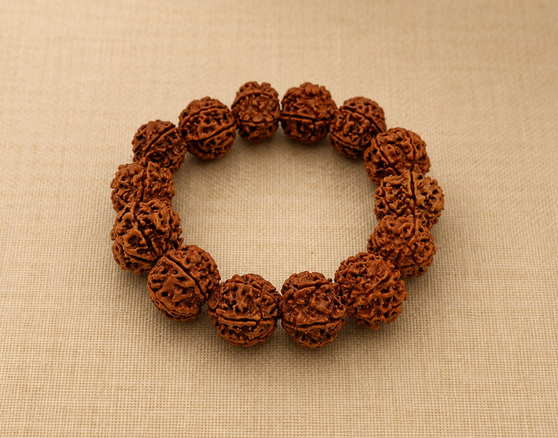 6 Mukhi Nepali Rudraksha Bracelet