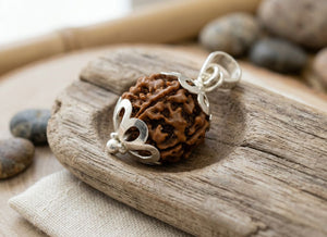 4 Mukhi Nepali Rudraksha with Silver Capping