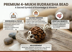 4 Mukhi Nepali Rudraksha with Silver Capping