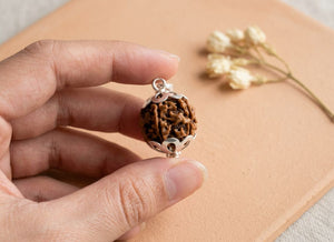 6 Mukhi Nepali Rudraksha with Silver Capping