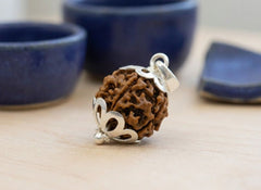 6 Mukhi Nepali Rudraksha with Silver Capping