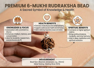 6 Mukhi Nepali Rudraksha with Silver Capping