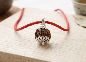 7 Mukhi Nepali Rudraksha with Silver Capping