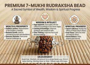 7 Mukhi Nepali Rudraksha with Silver Capping