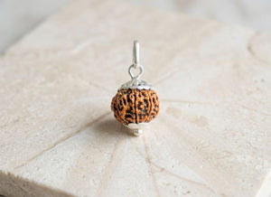 8 Mukhi Nepali Rudraksha with Silver Capping