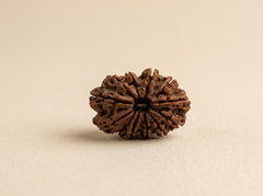 11 Mukhi Nepali Rudraksha Spiritual Bead