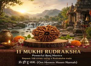 11 Mukhi Nepali Rudraksha Spiritual Bead