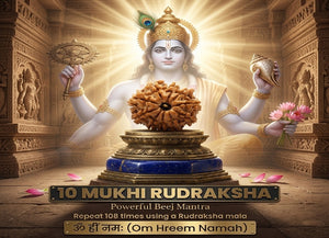 10 Mukhi Nepali Rudraksha Spiritual Bead
