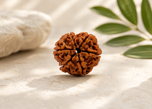 Natural 6 Mukhi Nepali Rudraksha Sacred Rudraksha Bead