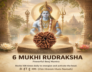 Natural 6 Mukhi Nepali Rudraksha Sacred Rudraksha Bead