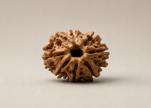 8 Mukhi Nepali Rudraksha Spiritual Bead