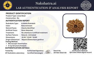 11 Mukhi Nepali Rudraksha Spiritual Bead