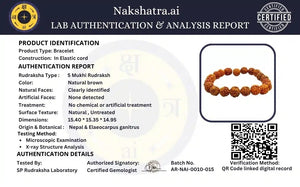 5 Mukhi Nepali Rudraksha Bracelet