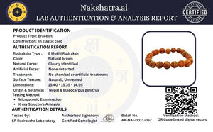 6 Mukhi Nepali Rudraksha Bracelet