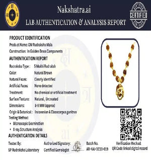 Divine Protection & Positive Energy Combo – Premium Golden & Silver Rudraksha Bracelet & Om Rudraksha Mala