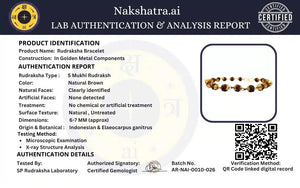 RUDRAKSHA BRACELET GOLDEN CAPPING