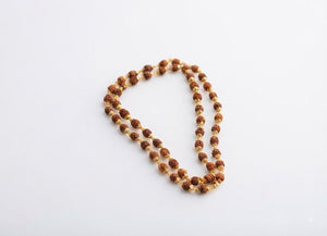 Small Rudraksha Mala with Golden Capping