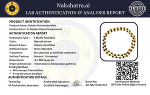 Small Rudraksha Mala with Golden Capping