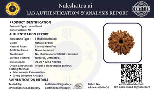 8 Mukhi Nepali Rudraksha with Silver Capping