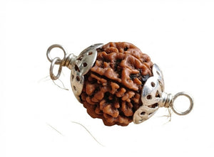 5 Mukhi Nepali Rudraksha with Silver Capping Spiritual Bead