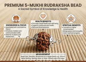 5 Mukhi Nepali Rudraksha with Silver Capping Spiritual Bead