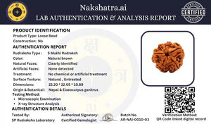 5 Mukhi Nepali Rudraksha with Silver Capping Spiritual Bead
