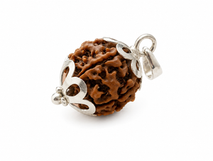 4 Mukhi Nepali Rudraksha with Silver Capping