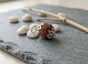 3 Mukhi Nepali Rudraksha with Silver Capping