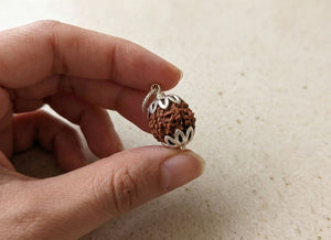 3 Mukhi Nepali Rudraksha with Silver Capping