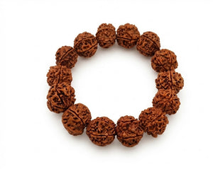 6 Mukhi Nepali Rudraksha Bracelet