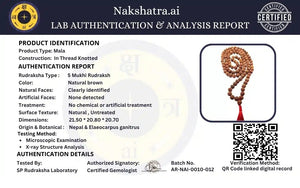Natural 5 Mukhi Nepali Rudraksha Mala 108 Beads Spiritual Necklace